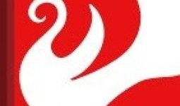 德州日报爆料新闻最新,揭秘某重大事件背后真相