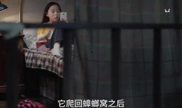 男生爆料小秘密视频大全,爆笑视频大盘点